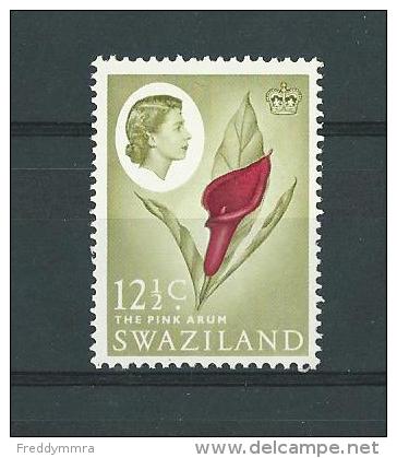 Swaziland: 100 **  Fleur - Swaziland (1968-...)