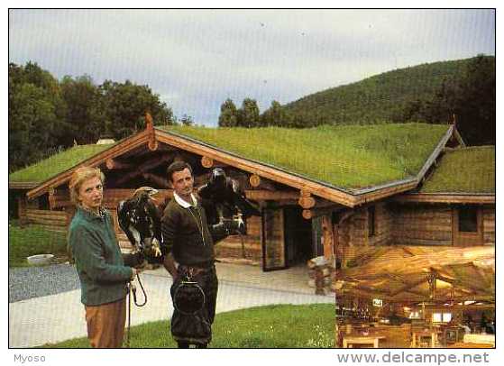 69 Parc Animalier De COURZIEU Maison D'accueil La Catiche , Fauconnier, Oiseaux Rapaces, Photo Herve Negre - Autres & Non Classés