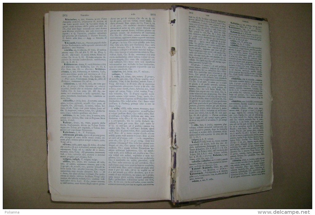 PCC/8  DIZIONARIO LATINO-ITALIANO Calonghi Rosenberg & Sellier 1900 - 2 Tomi - Dictionnaires
