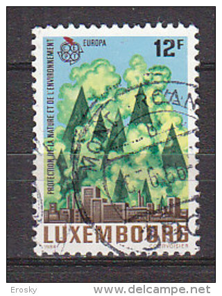 Q4101 - LUXEMBOURG Yv N°1101 - Used Stamps