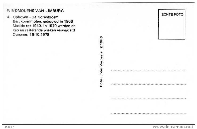 OPHOVEN (Limb.) - Molen/moulin - Historische Opname Van De Korenbloem In Verval Met Twee Wieken (1978). - Kinrooi