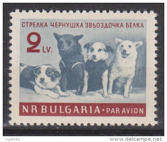 Bulgarie N° PA 81 *** Les Chiens De L'espace : Streka - Tchernouchka - Zvezdotchka - Belka - 1961 - Airmail