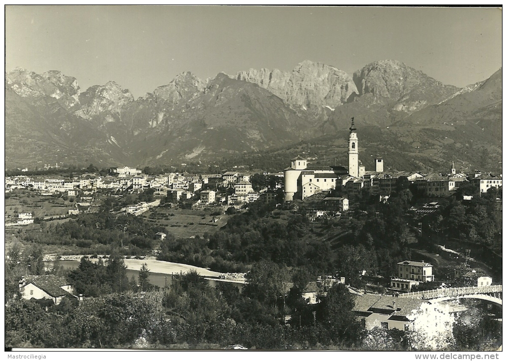 BELLUNO  Panorama Con Fiume Piave - Belluno