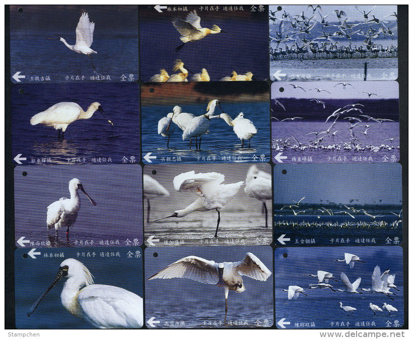 Complete Set Of 12 Taiwan Early Bus Ticket Cards Black-faced Spoonbill Bird (A0048-0059) - Tickets - Vouchers