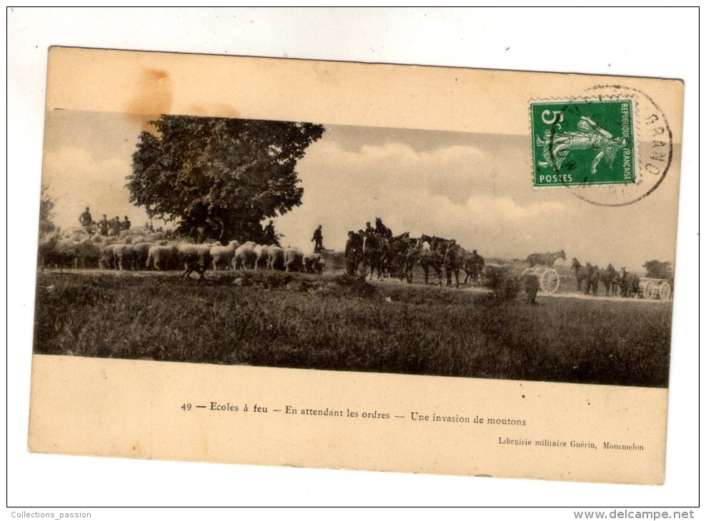 Cp , Militaria , Ecoles à Feu , En Attendant Les Ordres , Une Invasion De Moutons , Voyagée 1909 - Maniobras
