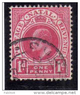 NATAL SOUTH AFRICA SUD AFRICA 1902 1903 KING EDWARD VII RE EDOARDO ONE PENNY 1 P  USATO USED - Natal (1857-1909)