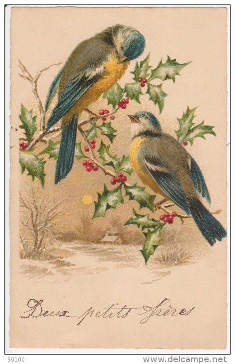 Carte Voeux - Illustration Oiseaux, Houx - Anno Nuovo