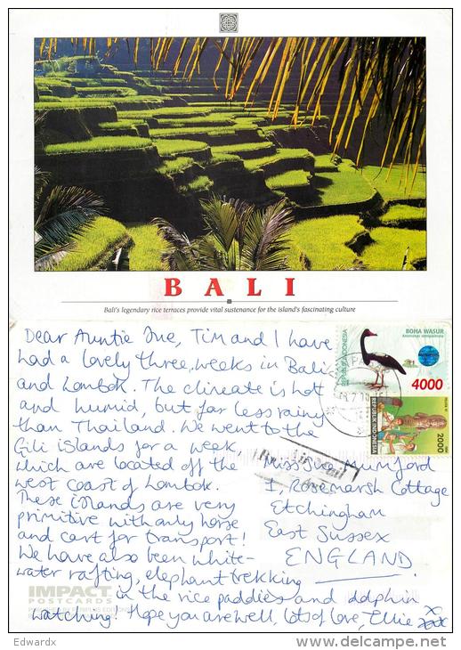 Rice Terraces, Bali, Indonesia Postcard Posted 2000 Nice Stamp - Indonesië