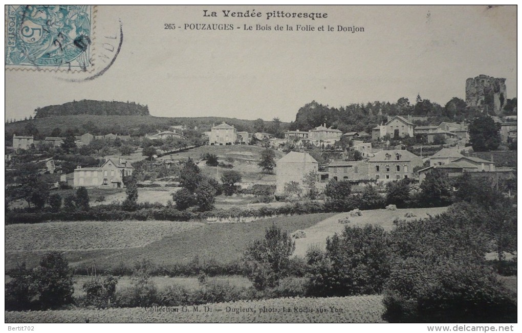 85 - POUZAUGES - Le Bois De La Folie Et Le Donjon - Pouzauges