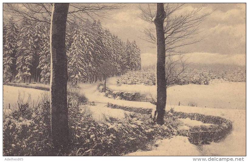 CPU31/  Alexandre Herld Photographe Camp Elsenborn, Camp Elsenborn Paysage Hiver - Elsenborn (camp)