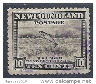 140011978  NEWFOULAND (TERRANOVA)  YVERT    Nº  179A - 1908-1947