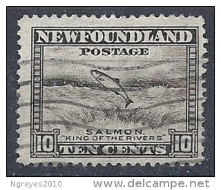 140011979  NEWFOULAND (TERRANOVA)  YVERT    Nº  179A - 1908-1947