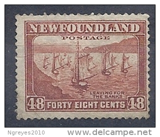 140012006  NEWFOULAND (TERRANOVA)  YVERT    Nº  223B - 1908-1947
