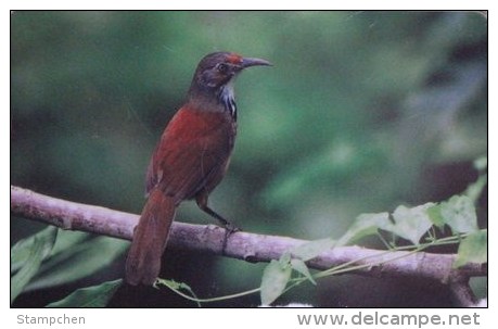 Taiwan Telephone IC Card IC03C012 Bird Nature - Taiwan (Formose)