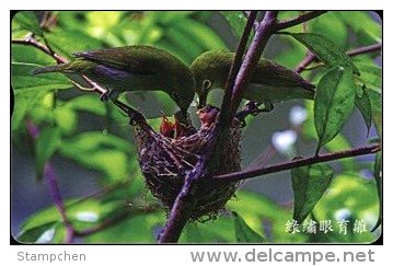 Taiwan Telephone IC Card IC09C013 Bird Nature - Taiwan (Formosa)