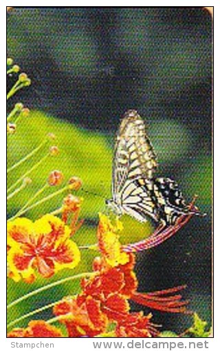 Taiwan Telephone IC Card IC00C003 Butterfly Nature - Taiwan (Formosa)