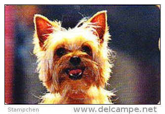 Taiwan Telephone IC Card IC06C001dog Nature - Taiwan (Formosa)