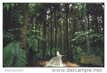 Taiwan Telephone IC Card IC07C027 Tree Forest Scenery - Taiwan (Formosa)