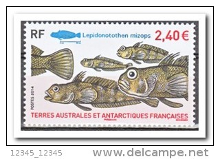 TAAF 2014 MNH Postfris, Fish - Nuovi