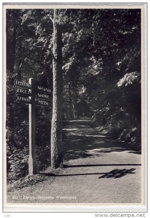 ZÜRICH - Uetliber - Waldstrasse - Wald