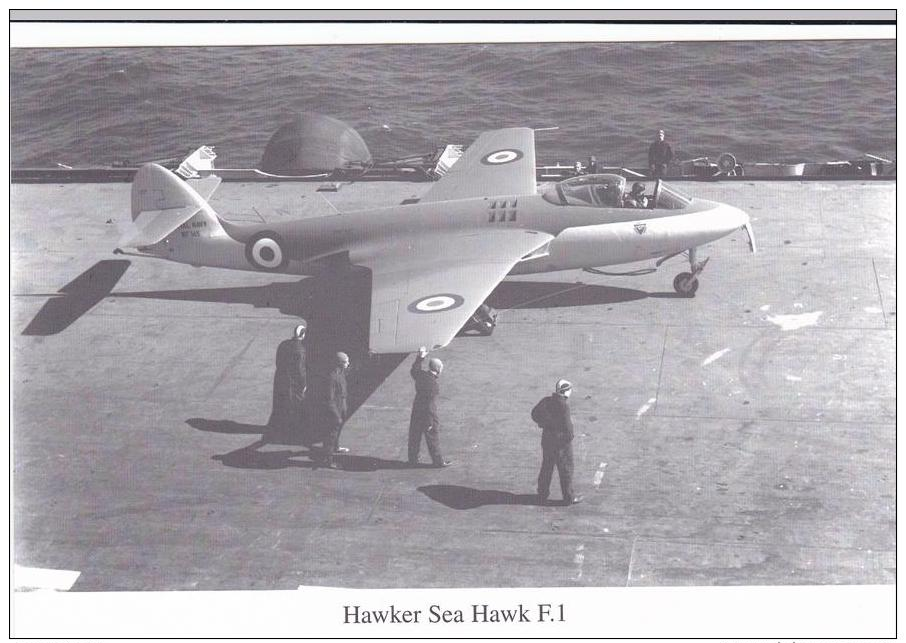 Hawker Sea Hawk F 1 1951 Aircraft Postcard (AM2095) - 1946-....: Modern Era