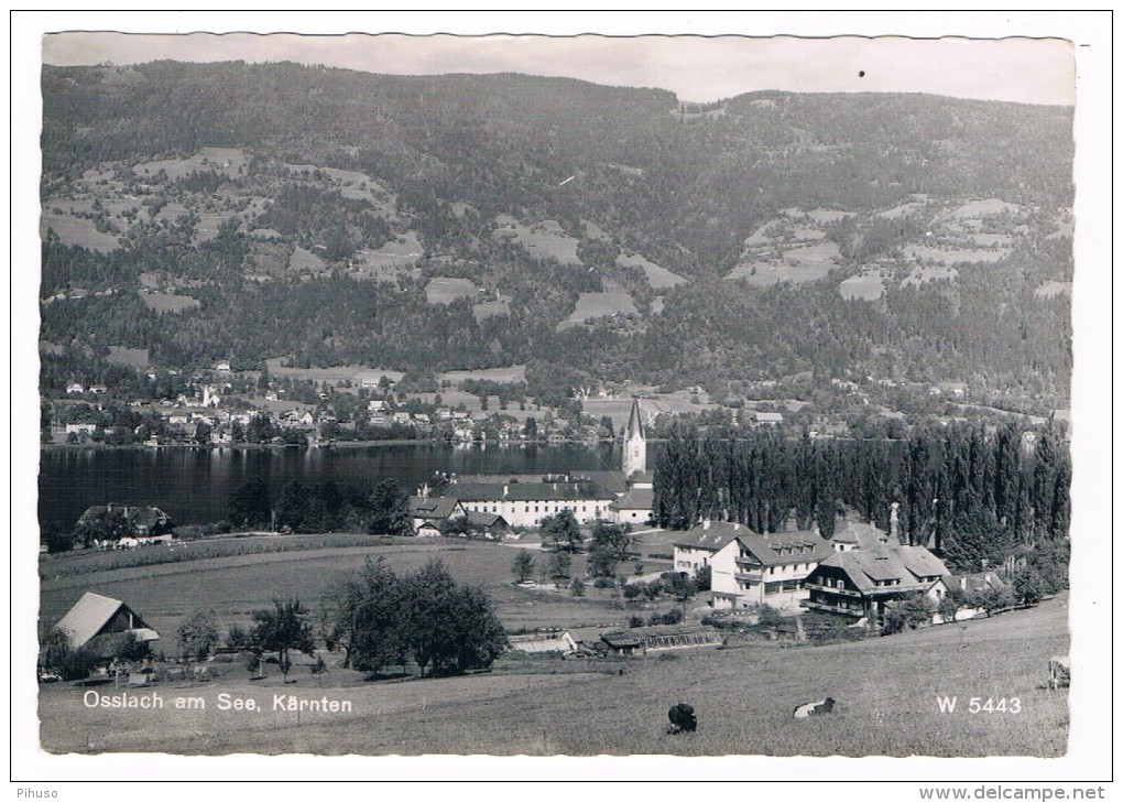 Ö-1918    OSSIACH AM SEE : - Ossiachersee-Orte