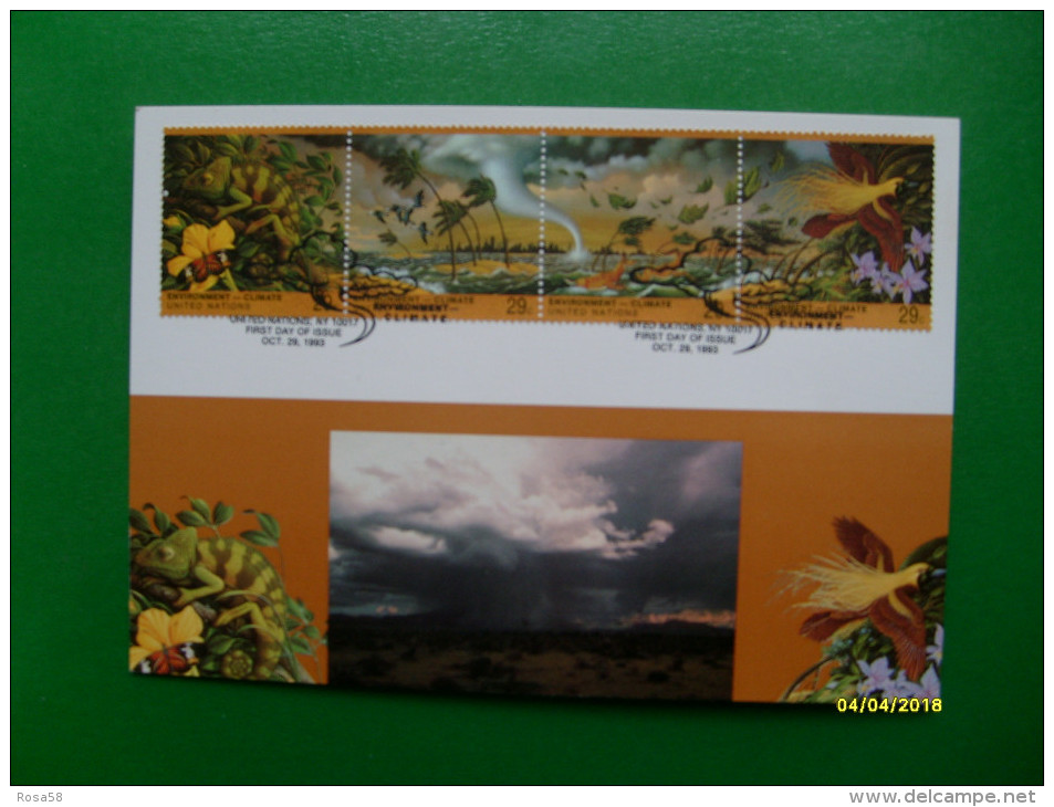 ECOLOGIA 1993 Environment Climate MAXIMUM Card  Animali Iguana 4 Valori Se Tenant - Cartas & Documentos