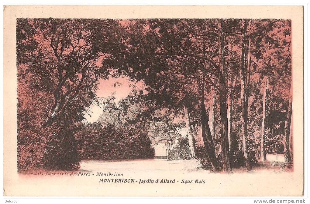 Dépt 42 - MONTBRISON - Le Jardin D'Allard - Sous Bois - Montbrison
