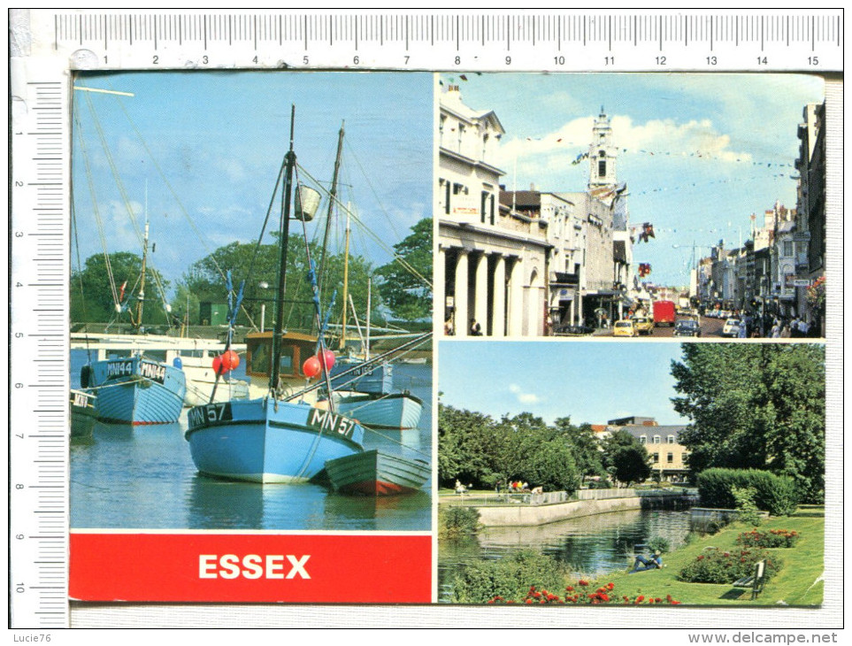 ESSEX -  3   Vues  :    Colchester - Maldon -  Chelmsford - Colchester