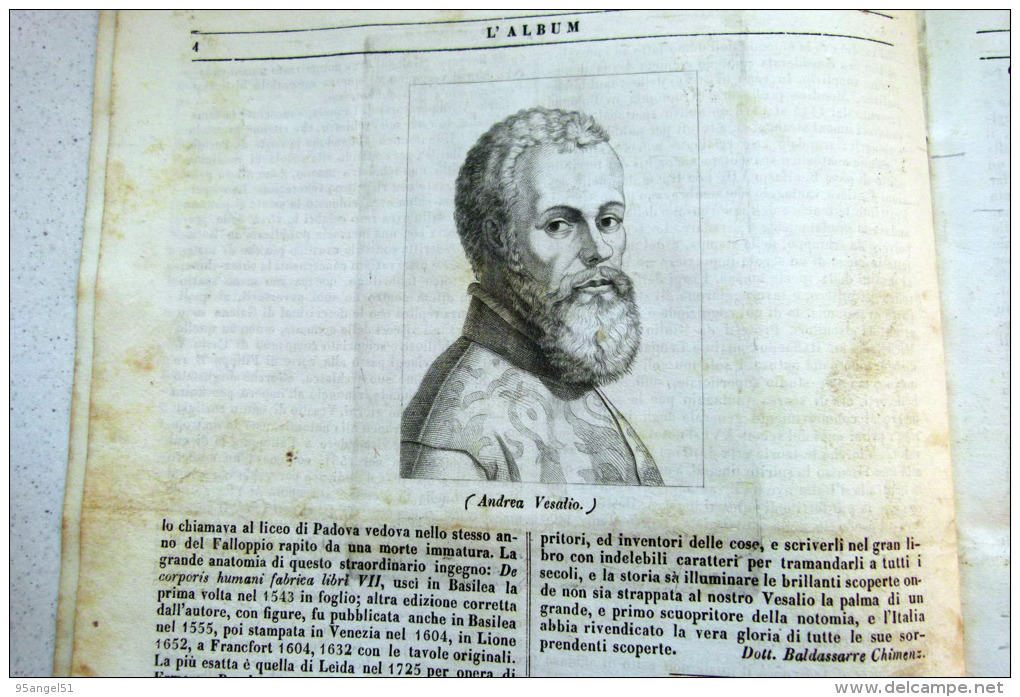 PROSPETTO PALAZZO DI PROPAGANDA IN ROMA - ANDREA VESALIO ANATOMISTA (NIZZA 1514 ZANTE 1564) - REBUS - L´ALBUM 1846 - Estaño