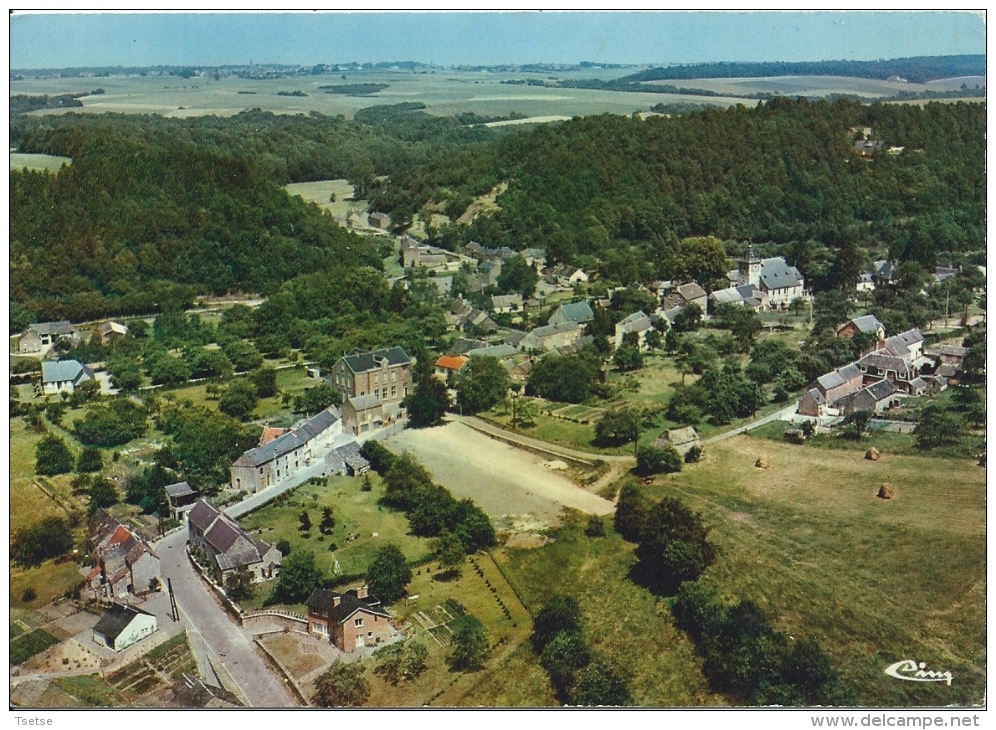 Crupet - Jolie Panorama Aérien … De La Commune - Assesse