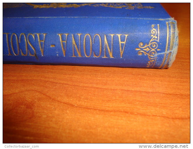 Strafforello Gustavo  Ancona Ascoli Pesaro Etc La Patria Geografia Dell' Italia Beautiful Hardcover In Azzurro E Oro - Old Books