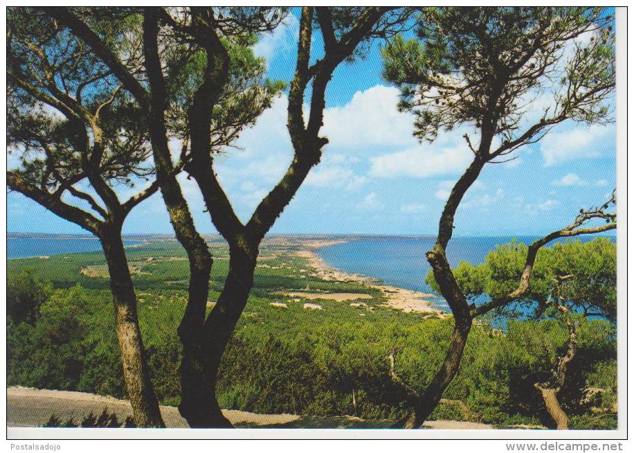 (ACA582) FORMENTERA. EL MIRADOR - Formentera