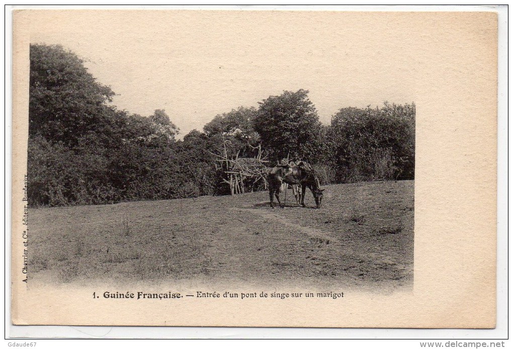 GUINEE FRANCAISE - ENTREE D´UN PONT DE SINGE SUR UN MARIGOT - Guinée Française