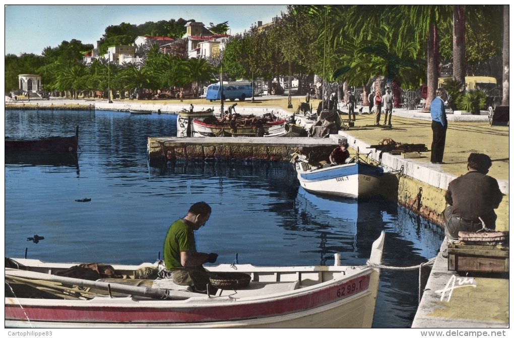 VAR 83 BANDOL Le Port Et Ses Pêcheurs Années 58 - Bandol