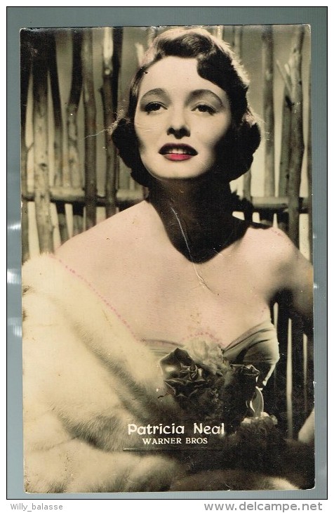 Photo Carte - Femme Célèbre "Patricia Neal - Warner Bros" !!! Pli !!! - Femmes Célèbres