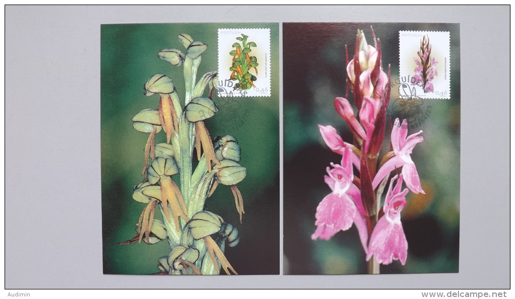 Portugal 2657/8 YT 2654/5 Af 2949/0 Maximumkarte MK/MC, ESST, Orchideen, Dactylorhiza Maculata U. Aceras Anthropophorum - Maximumkarten (MC)