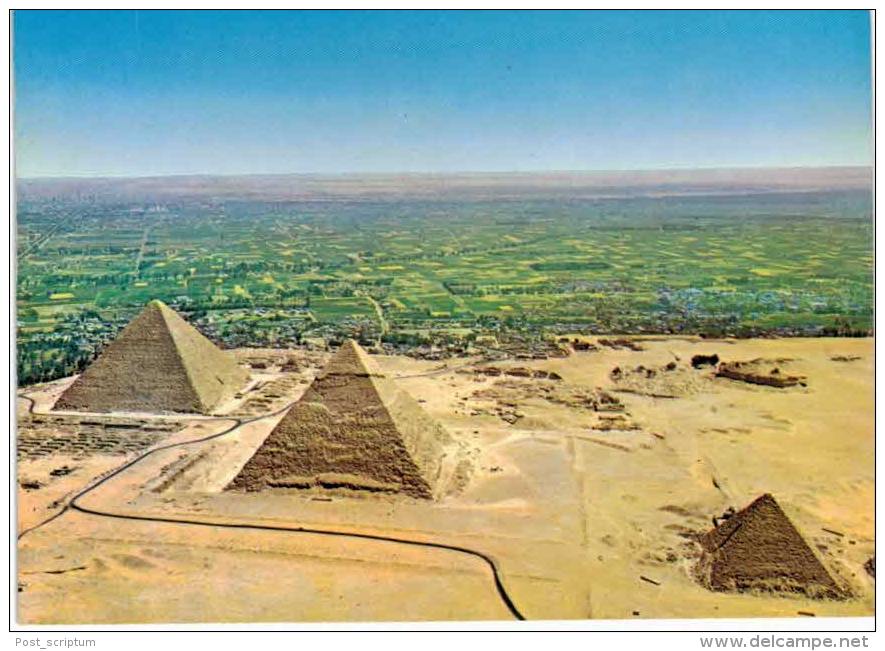 Afrique- Egypte - Pyramides De Guizeh - Giza - Gizeh