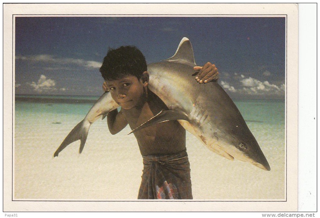 MALDIVES - Jeune Garçon Et Un Requin - Maldive