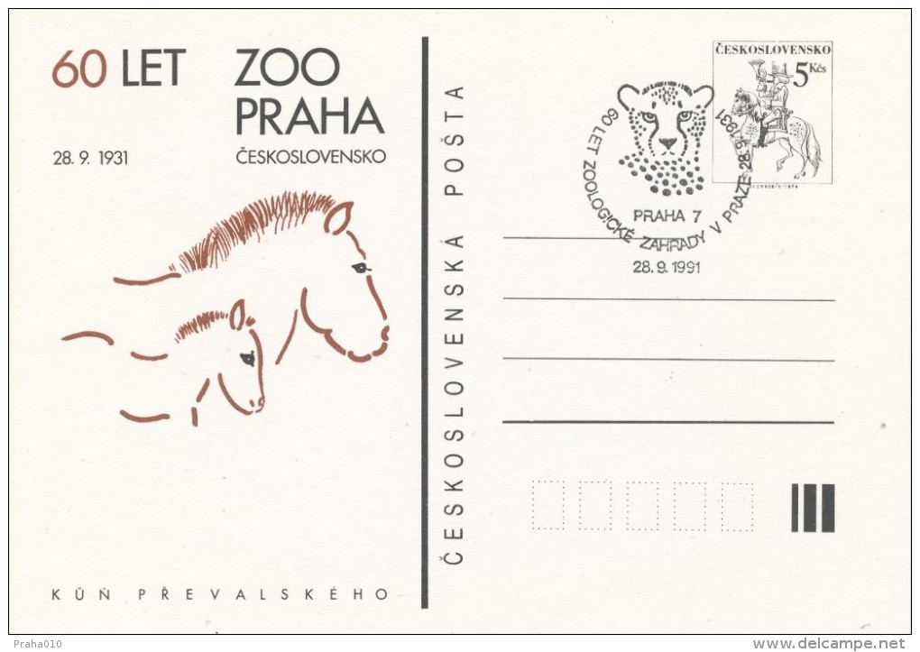 I2461 - Czechoslovakia / Postal Stationery (1991) Praha 7: 60 Years Old Prague Zoo (Przewalski Horse, Cheetah) - Postales