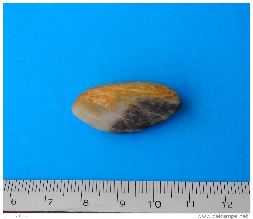 # M043 WHITE&BROWNISH W/YELLOW INSERTS ESTEREL PEBBLE ORE - South France, Provence, Mineral Minerai Minerale Erz - Mineralien