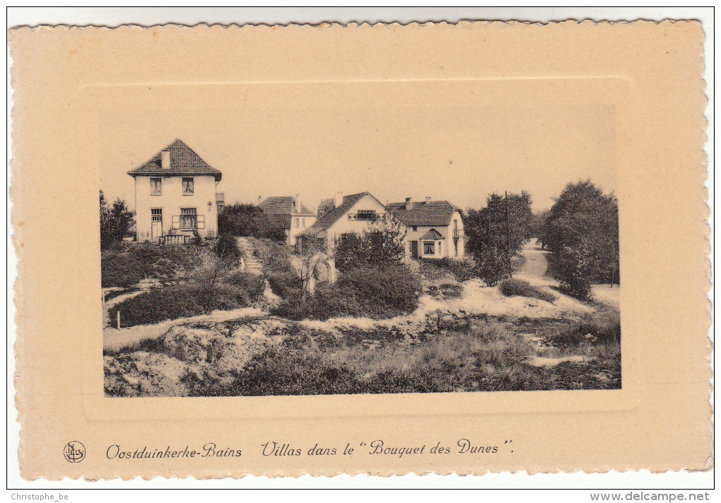 Oostduinkerke Bad, Villas In De Duinen (pk13748) - Oostduinkerke