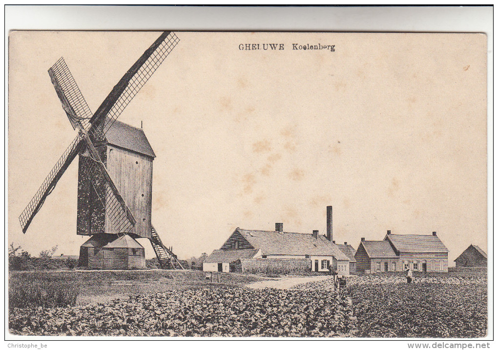 Gheluwe, Geluwe, Koelenberg, Molen, Moulin, Windmill (pk13767) - Wervik