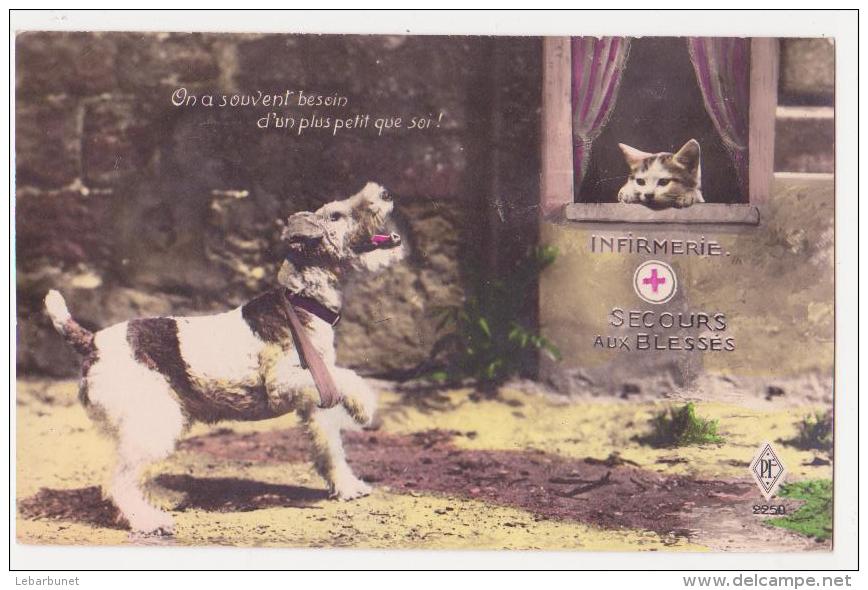 Carte Postale Ancienne "chien Malade Venant Se Faire Soigner Par Un Petit Chat" - Cats