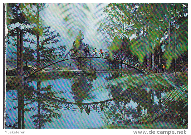 Taiwan PPC Rainbow Bridge Over Pond In Experimental Forest Taiwan University, Hsi-tou Unused (2 Scans) - Taiwan