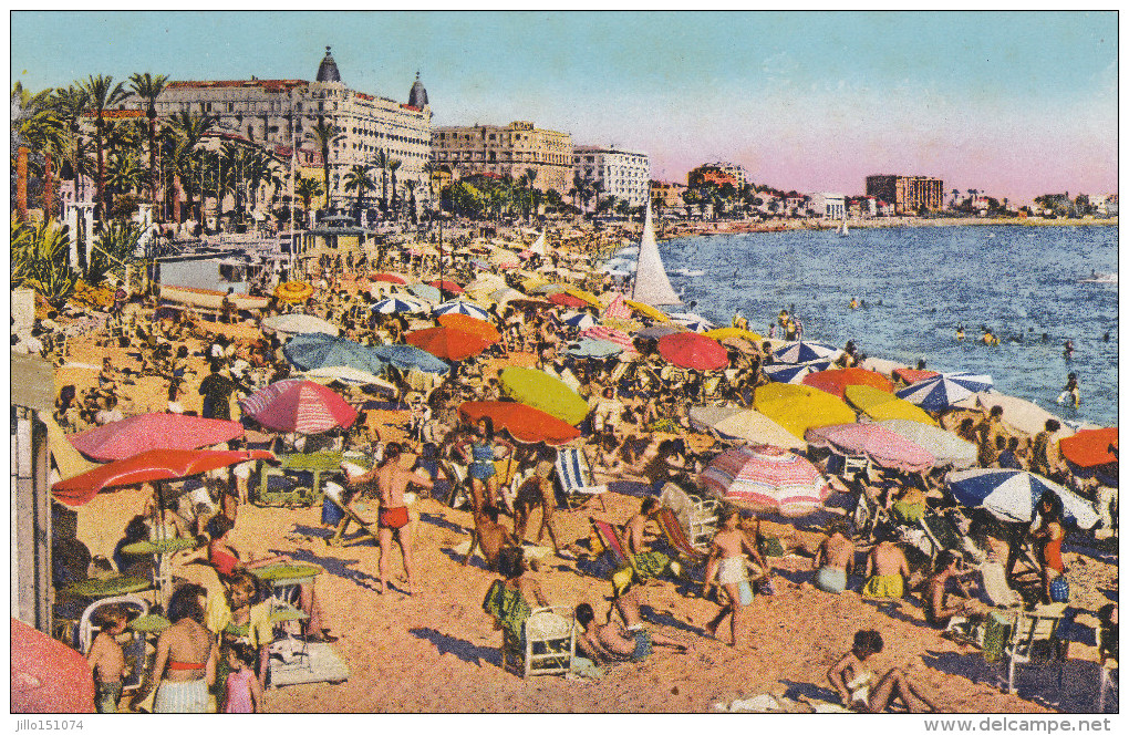 Cannes  La Plage - Cannes