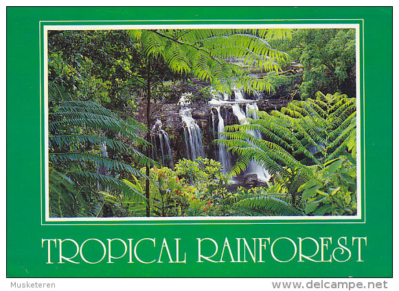 Australia PPC Tropical Rainforest Queensland AIR MAIL Label TOWNSVILLE Meter Stamp 1996 SØBORG Denmark (2 Scans) - Townsville