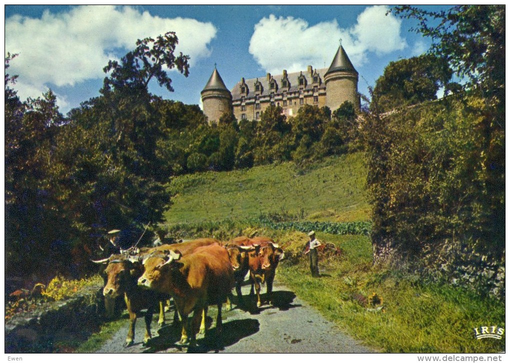 Le Chateau De Rochechouart. (Troupeau De Vaches Au Premier Plan). - Rochechouart