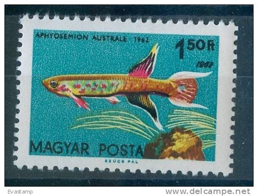 HUNGARY - 1962.Fishes - 1962 Twice In Design MNH!!! - Varietà & Curiosità