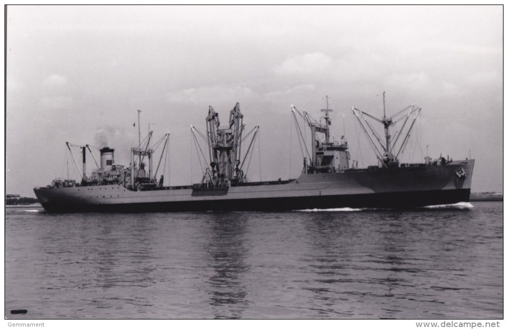 SHIPPING PHOTO. MARINE FIDDLER - Warships